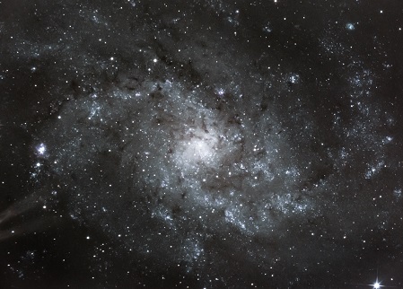 Triangulum galaxy