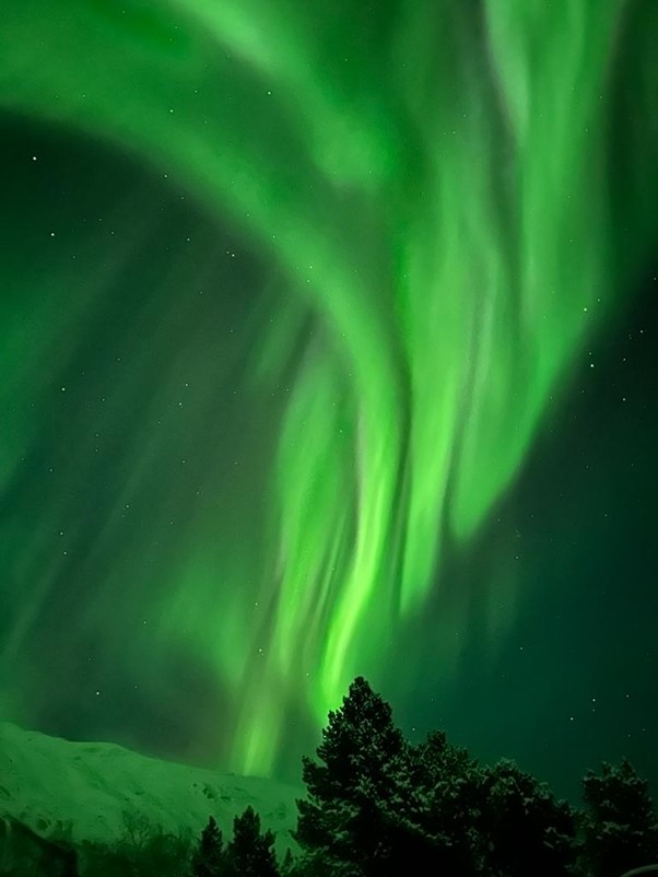 The brilliant green colours of the Aurora