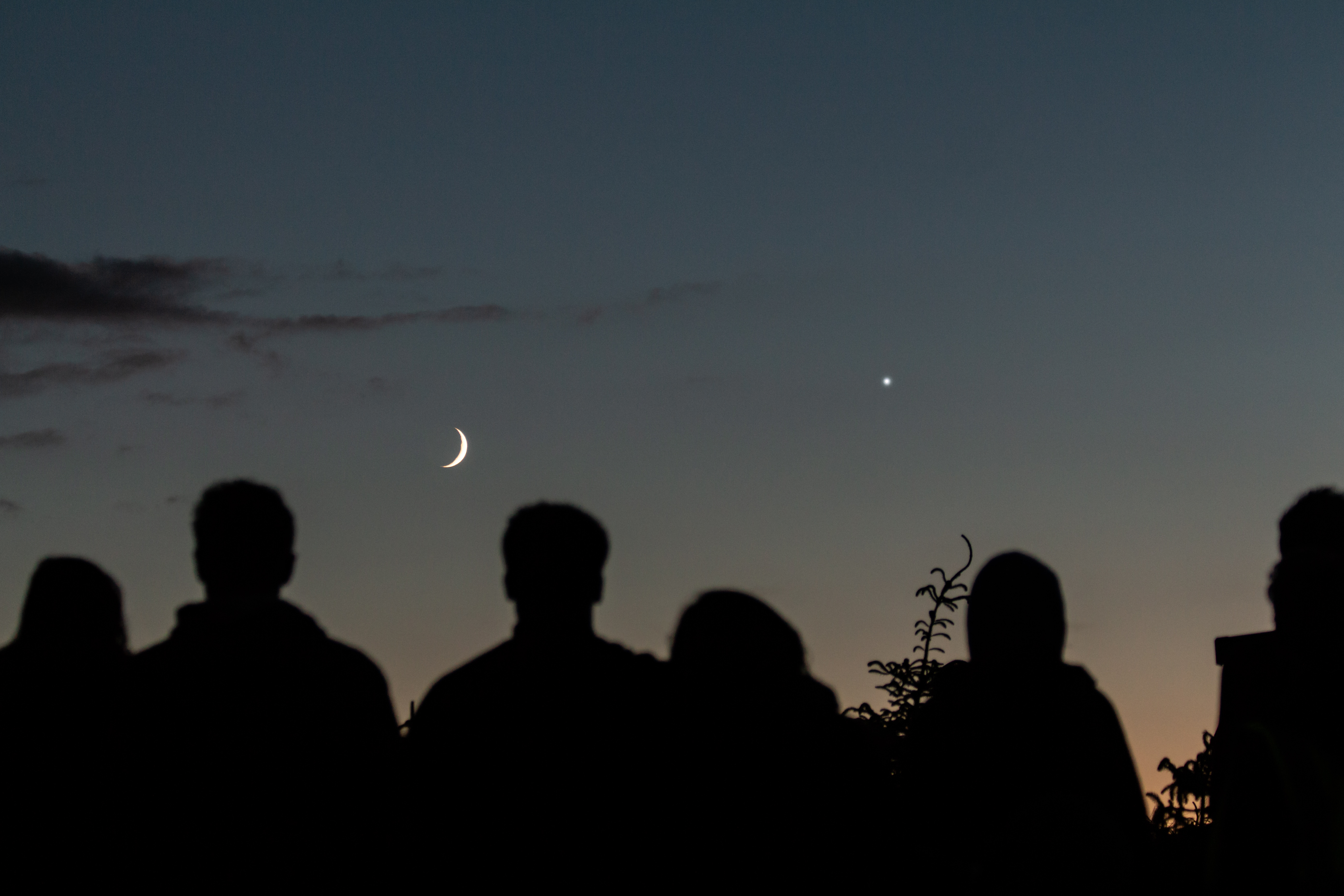 Guests Moon and Venus