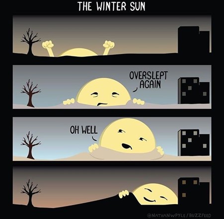 Winter sun