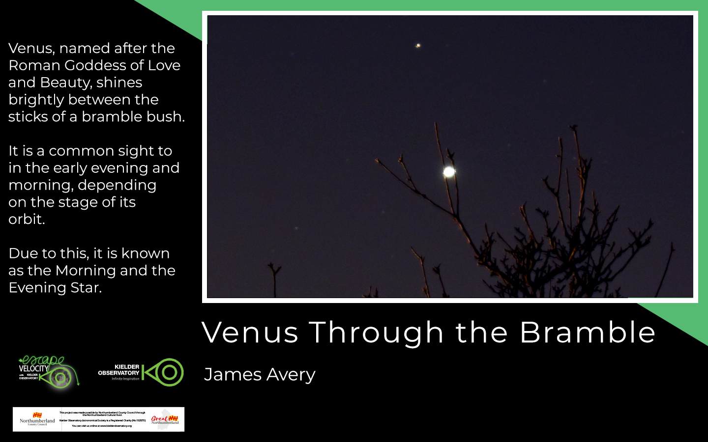 James Avery, Venus Through the Bramble 