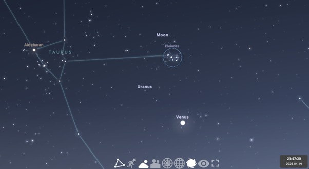 What's Up? April 2026