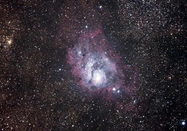 Picture8