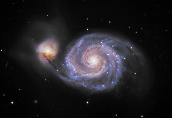 WUJ264